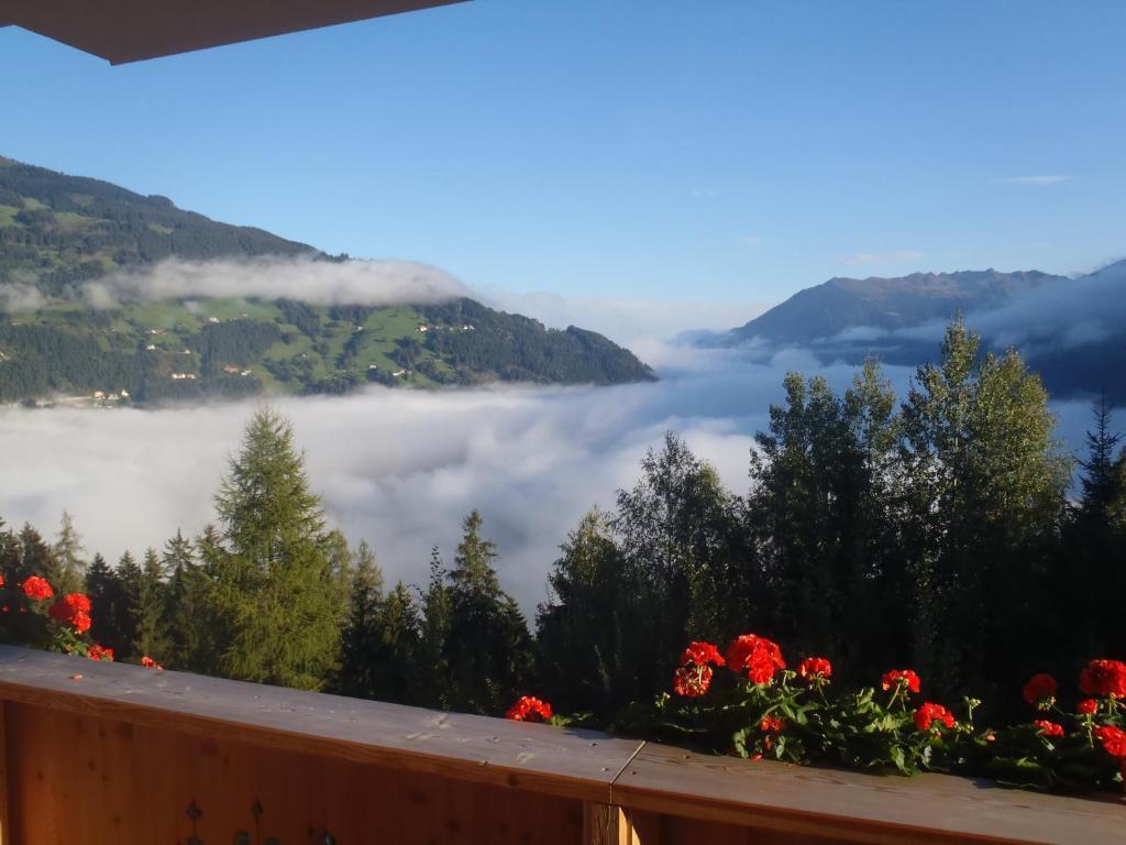 Landhaus Alpenjaeger Hainzenberg Camera foto